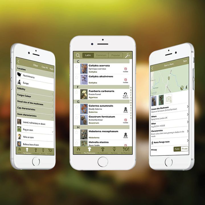 Roger's Mushrooms app screens